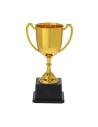 Trofeos con asas largas y acabado brillante