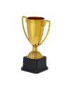Trofeos con acabado brillante