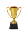 Trofeos con acabado brillante
