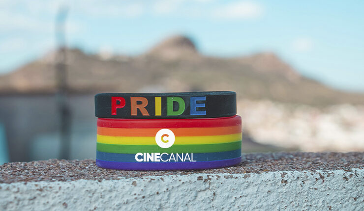 merchandising LGBT
