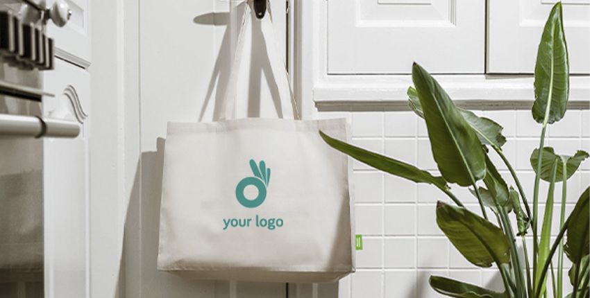 Principales características de las bolsas ecológicas personalizadas - Valores ambiantales