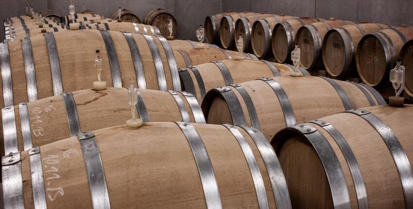 bodega-txakoli-team-building-bilbao