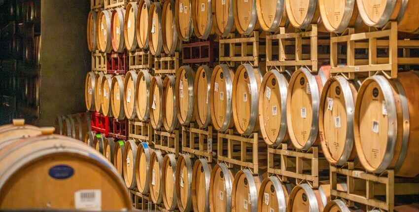 enoturismo-alicante-teambuilding