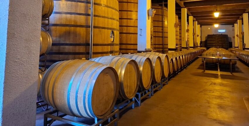 bodega-txakoli-team-building-san-sebastian
