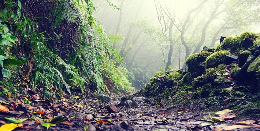 parque-rural-anaga-team-building-tenerife